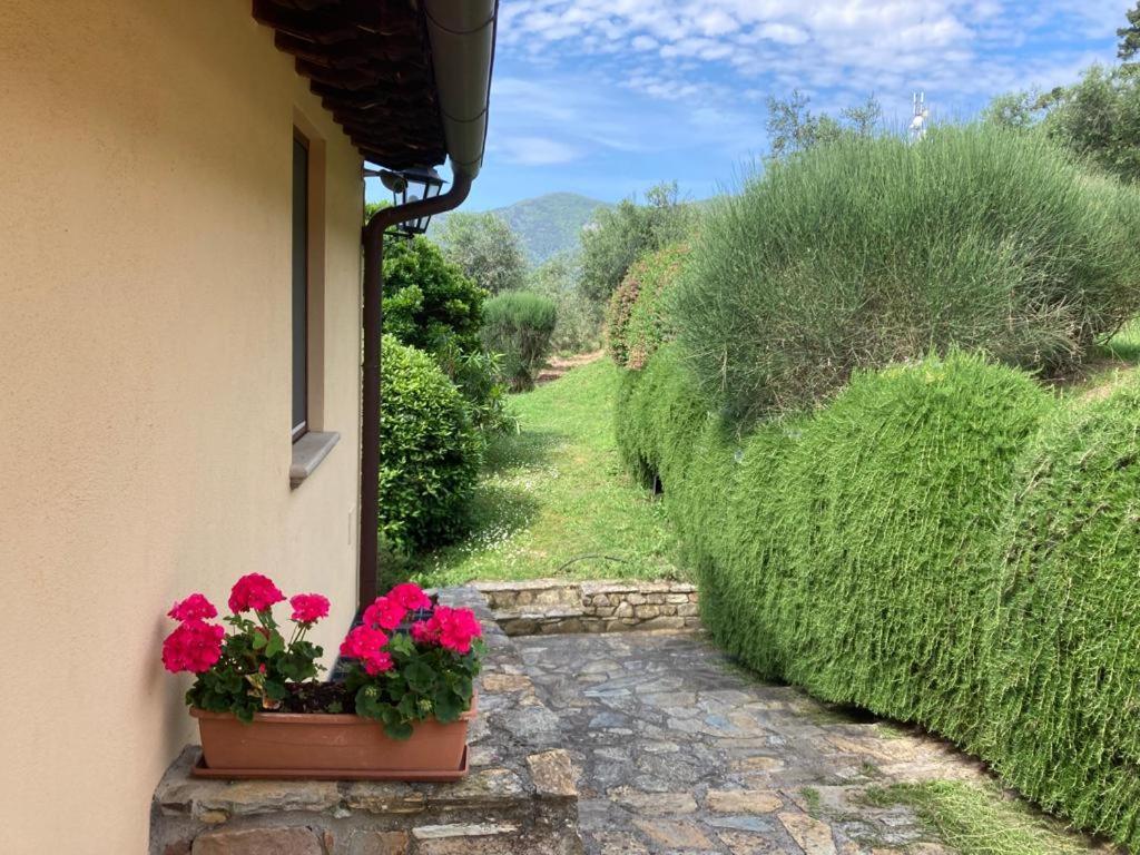Agriturismo Cima Alla Serra Buti Exterior foto