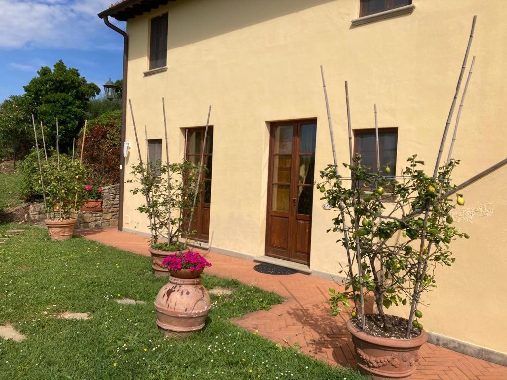 Agriturismo Cima Alla Serra Buti Exterior foto